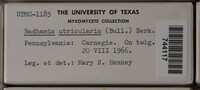 Image Associated With the Occurence